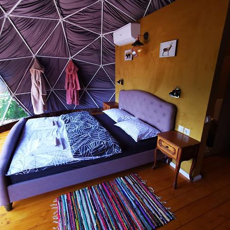Glamping Zazen Hotel Drumu Carului Exterior photo