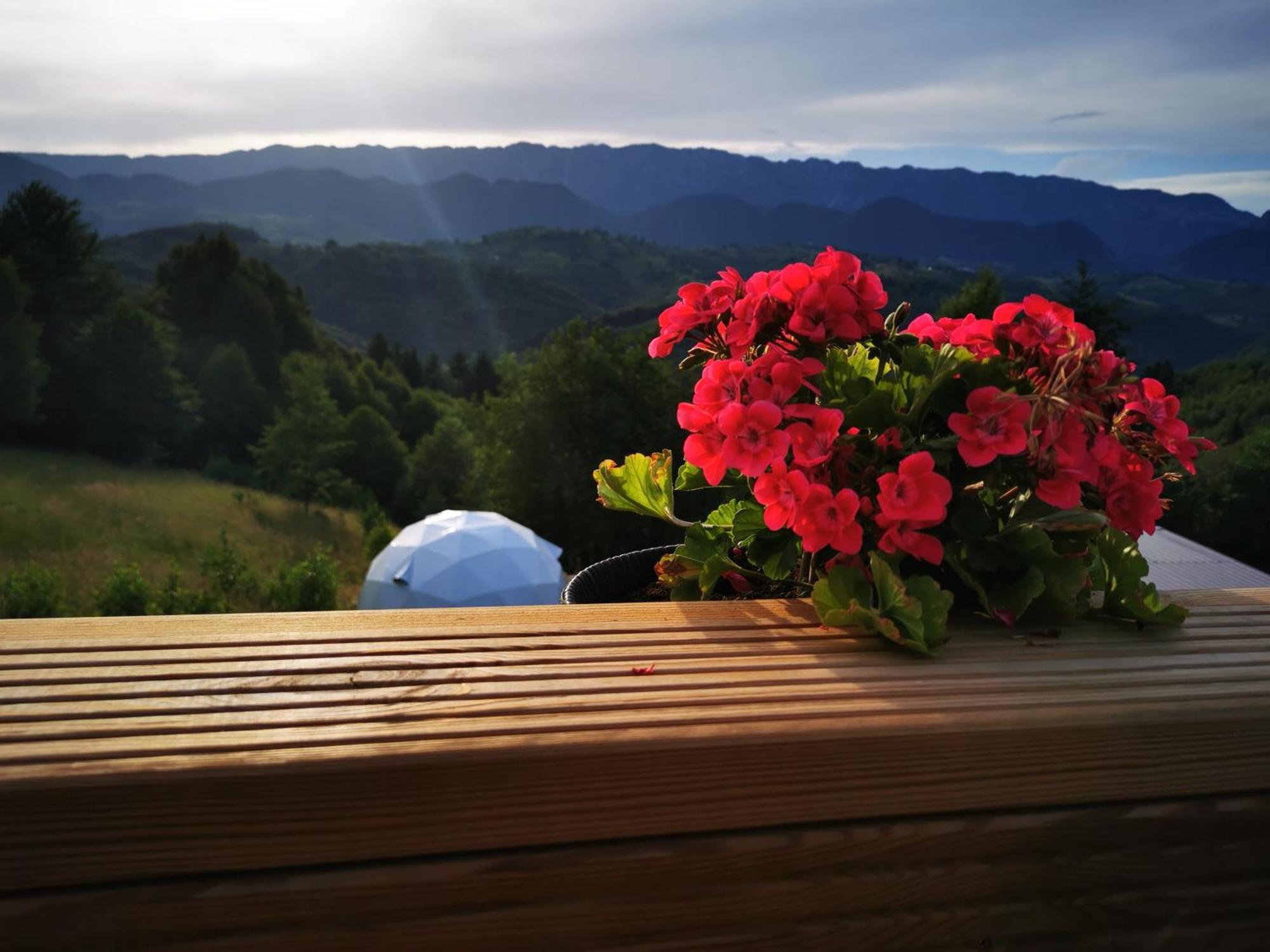 Glamping Zazen Hotel Drumu Carului Exterior photo